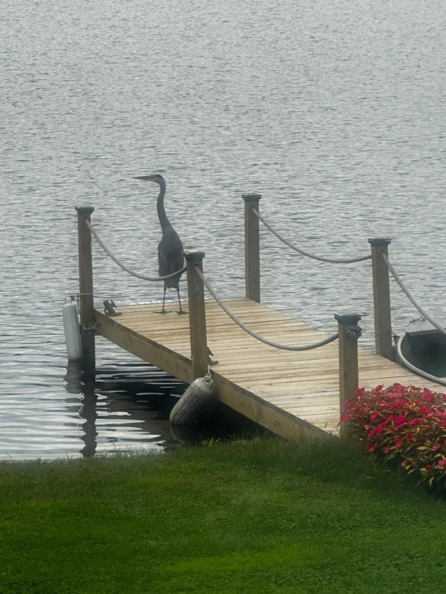 Welcome To The Lake Northwood Bagian luar foto